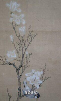 Antique Japanese Buncho bird painting Edo era 1750 fine art