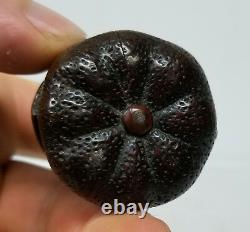 Antique Vintage Finely Carved Boxwood Japanese Nestuke Fruit Nut Go Scholars