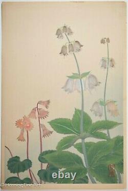 Beautiful Vintage/Antique Japanese Woodblock Flora Landscape Signed, Fine 3 of 3