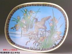 CLOISONNE BIRD FLOWER Pattern Plate 8.1 in Antique MEIJI Old Fine Art Japanese
