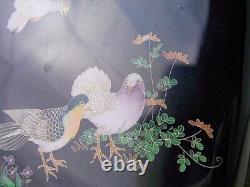 CLOISONNE PIGEON BIRD/ BOX 4.4 inch Japanese Antique MEIJI Era Old Fine Art