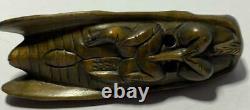 Cicada Boxwood Figurine Japanese Fine Netsuke Classic & Antique Carving Fastener