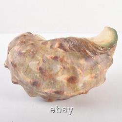 EBISU GOD Seashell Sculpture Shell Carving Japanese Antique Fine Art
