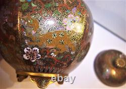 Excellent Antique Japanese Cloisonne Covered 4 Jar Koro Box Shishi Dogs Ex Cond