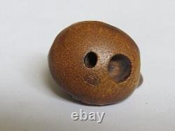 Fine Meiji Period Japanese Carved Nut Bird Netsuke Signed