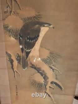 HAWK EAGLE BIRD UKIYO-E Hanging scroll KAKEJIKU Japanese Antique Old Fine Art