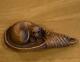 Wooden Cat Fine Netsuke Japanese Clasp Traditional Carving Antique Collectible