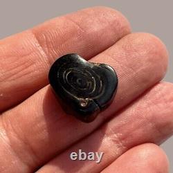 Antique Japonais C19ème Perle De Corail Noir Naturel Fine Qualité Meiji Période Ojime