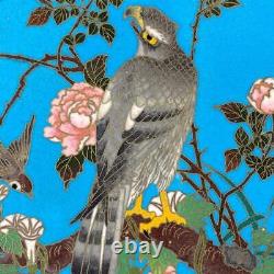 Cloisonne Hawk Eagle Bird Assiette 11.8 Dans L'antiquité Meiji Era Vieux Art Japonais