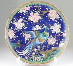 Cloisonne Peacock Cherry Blosom Plaque Japonaise Antique Meiji Era Old Fine Art
