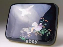 Cloisonne Pigeon Bird/ Box 4.4 Pouces Antiquité Japonaise Meiji Era Old Fine Art