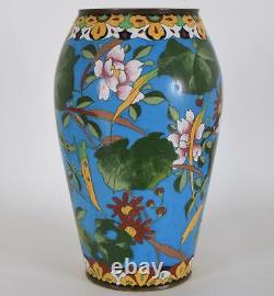 Fin Japonais Cloisonné Enamel Vase Oiseaux Fleurs Blue Ground Meiji Période