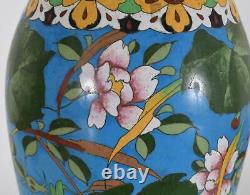 Fin Japonais Cloisonné Enamel Vase Oiseaux Fleurs Blue Ground Meiji Période