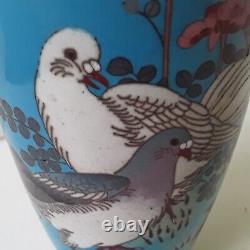 Fin Japonais Cloisonne Pigeon Dove Vase Meiji Période