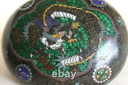 Fine Vieille Antiquité Cloisonné Forme D'oreiller Serpent Cousu Ovale Dragon Box Ginbari