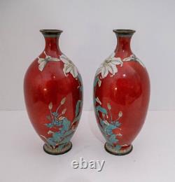 Grand vase japonais en cloisonné avec une paire rare et fine de fleurs de lys et de papillons en sang de pigeon.