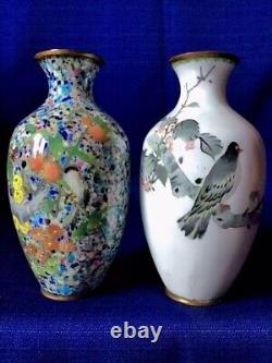 Paire de vases japonais anciens en cloisonné fin avec mésange, papillon, colombelle, etc.