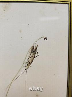 Peinture Aquarelle Gouache Japonaise Antique Cricket Grasshopper Chinois