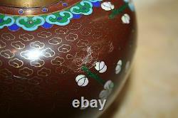 Très Belle Antique Japonaise 6 Lidé Bourgogne Plum Floral Cloisonne Ginger Jar